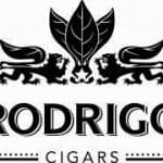 Website Terms and Conditions of Use download