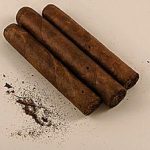 tobaccobeetledamage