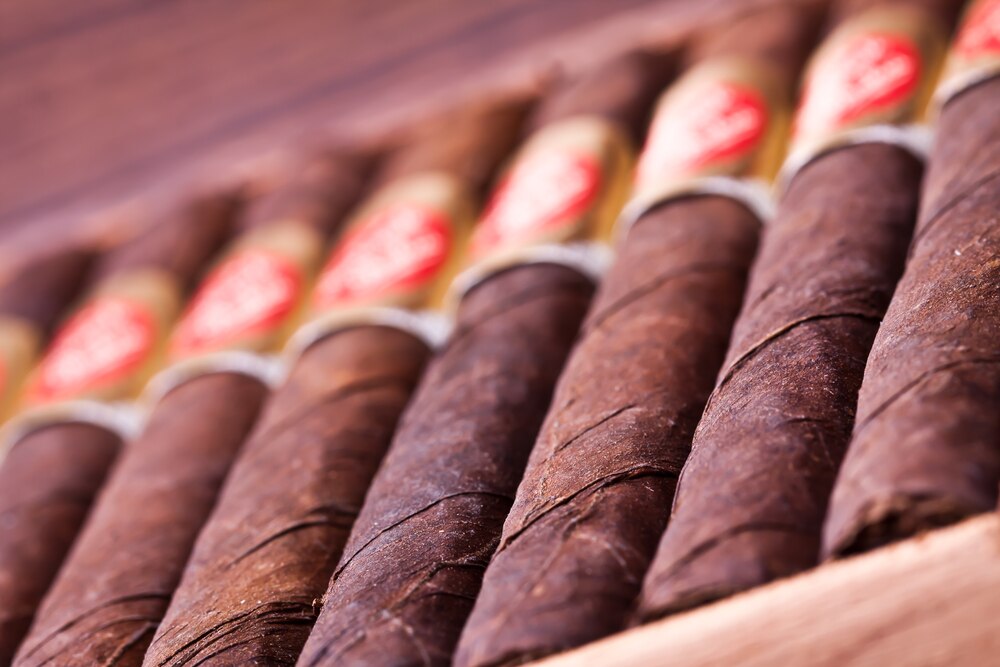 cigarsinopenhumidor-closeup
