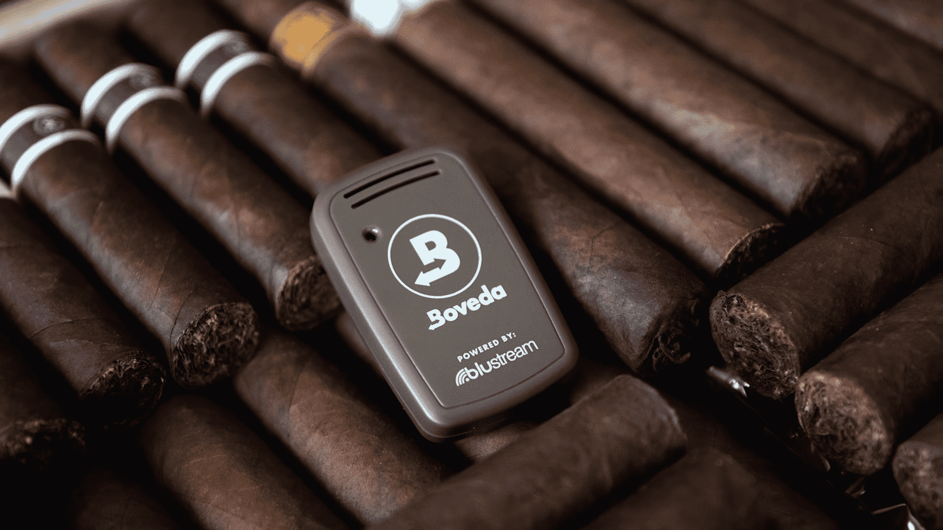 Boveda Butler Bluetooth Hygrometer Review