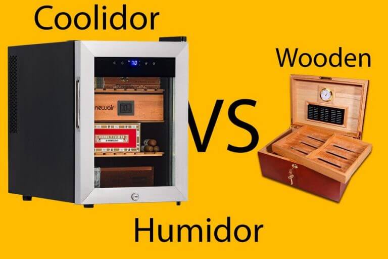 Electric Humidor Vs. Wood Everything You Should Know