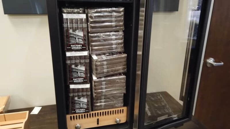 BODEGA 15 Cooler Humidor Review