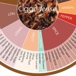 Exploring the Fascinating World of the Cigar Flavor Wheel