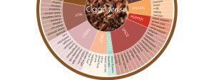 Exploring the Fascinating World of the Cigar Flavor Wheel