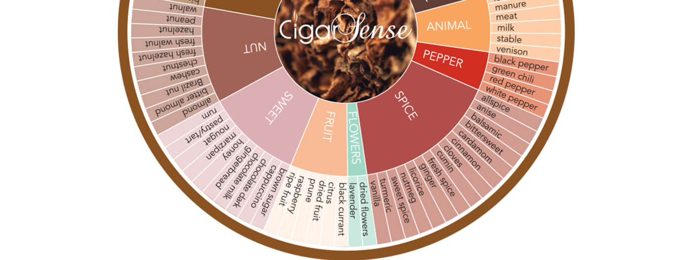 Exploring the Fascinating World of the Cigar Flavor Wheel