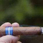 A Detailed Review of Cohiba Blue