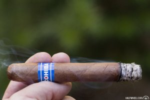 A Detailed Review of Cohiba Blue