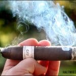 Feral Flying Pig: A Unique and Fascinating Species