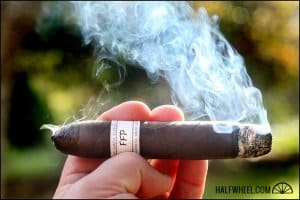 Feral Flying Pig: A Unique and Fascinating Species